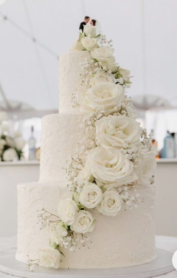 31cd01e75a987931608da3d98f2dad64